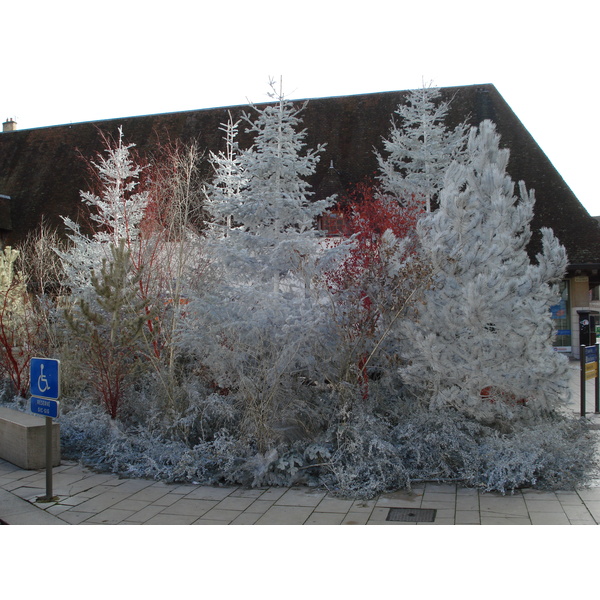 รูปถ่าย ฝรั่งเศส(France) โบนเนอ(Beaune) 2007-01 56