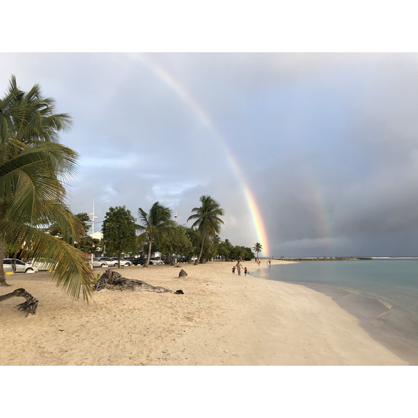 รูปถ่าย กวาเดอลูป(Guadeloupe) แซ็งตาน(Sainte Anne) 2021-02 63
