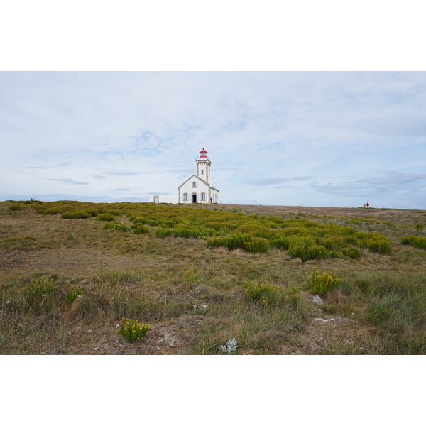 รูปถ่าย ฝรั่งเศส(France) เกาะแบล-อีล(Belle-Ile) 2016-08 167