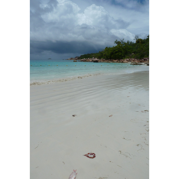 รูปถ่าย เซเชลส์(Seychelles) อ่าวอ็องส์ลาซิโอ(Anse Lazio) 2011-10 155