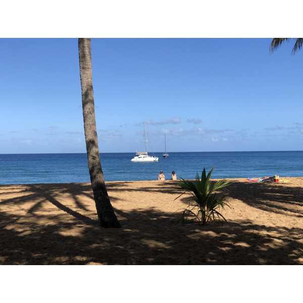 รูปถ่าย กวาเดอลูป(Guadeloupe) หาดกร็องด์อ็องส์(Grande Hanse Beach) 2021-02 6