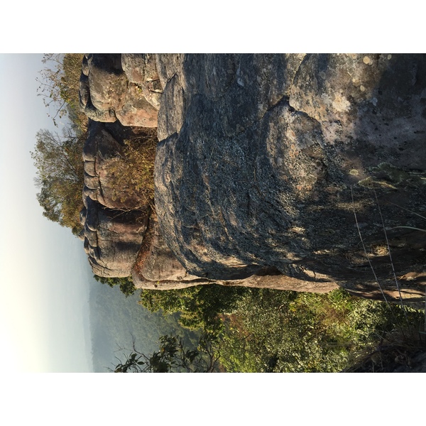 รูปถ่าย ไทย(Thailand) อุทยานแห่งชาติภูหินร่องกล้า(Phu Hin Rong Kla National Park) 2014-12 108