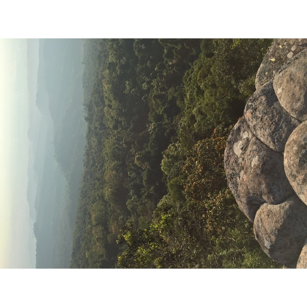 รูปถ่าย ไทย(Thailand) อุทยานแห่งชาติภูหินร่องกล้า(Phu Hin Rong Kla National Park) 2014-12 55