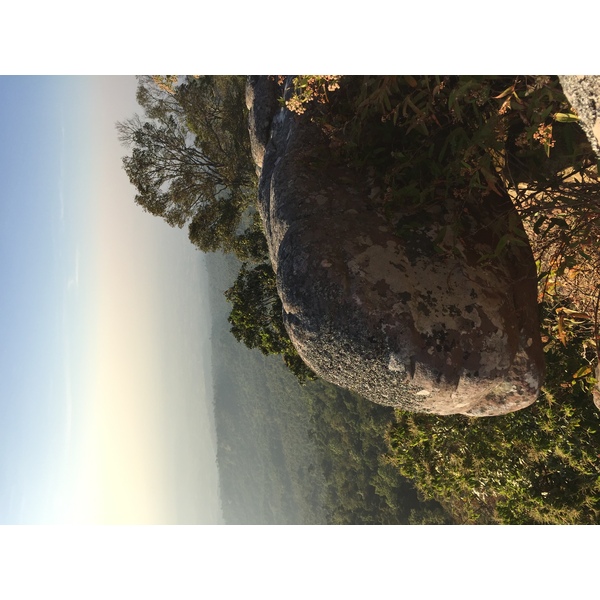 รูปถ่าย ไทย(Thailand) อุทยานแห่งชาติภูหินร่องกล้า(Phu Hin Rong Kla National Park) 2014-12 400