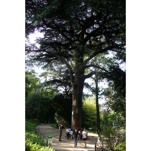 รูปถ่าย ฝรั่งเศส(France) ปารีส(Paris) สวนพันธ์ุพืช(Jardin des Plantes) 2007-08 11