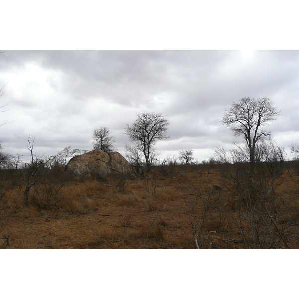 รูปถ่าย แอฟริกาใต้(South Africa) อุทยานแห่งชาติครูเกอร์(Kruger National Park) ถนนเลียบแม่น้ำครอกโคไดล์(Crocodile River road) 2008-09 61