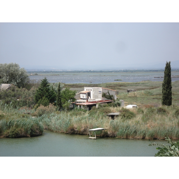 รูปถ่าย ฝรั่งเศส(France) กามาร์เกอ(Camargue) 2006-06 13