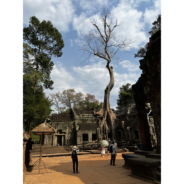 รูปถ่าย กัมพูชา(Cambodia) เสียมราฐ(Siem Reap) ปราสาทตาพรหม(Ta Prohm) 2023-01 21