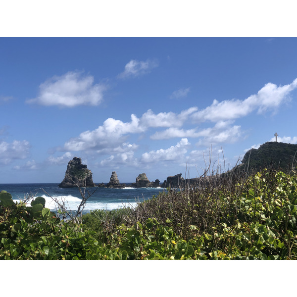 รูปถ่าย กวาเดอลูป(Guadeloupe) แหลมคาสเซิลพอยต์(Castle Point) 2021-02 62