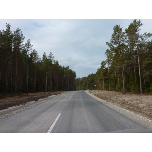 รูปถ่าย เอสโตเนีย(Estonia) ถนนจากทาลลินน์ไปฮาปซาลู(Tallinn to Haapsalu road) 2009-04 17