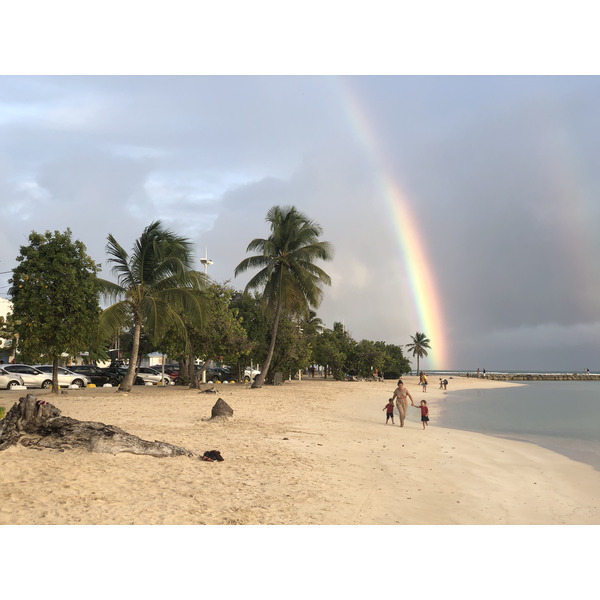 รูปถ่าย กวาเดอลูป(Guadeloupe) แซ็งตาน(Sainte Anne) 2021-02 43