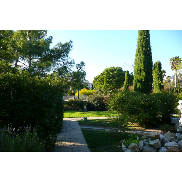รูปถ่าย ฝรั่งเศส(France) นีส(Nice) สวนฟีนิกซ์(Phoenix Parc) 2007-10 112