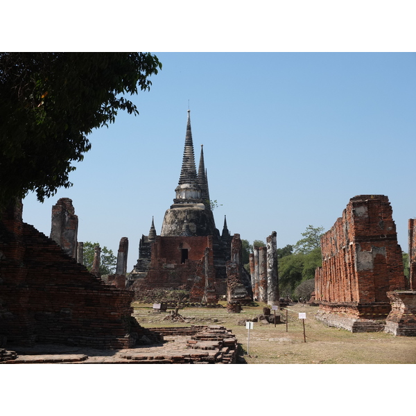 รูปถ่าย ไทย(Thailand) อยุธยา(Ayutthaya) 2011-12 107