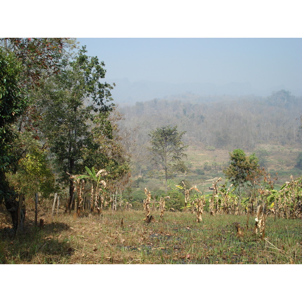 รูปถ่าย ไทย(Thailand) ปางมะผ้า(Pang Mapha) 2007-02 113