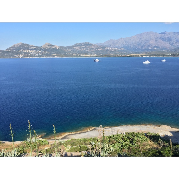 รูปถ่าย ฝรั่งเศส(France) คอร์สิคา(Corsica) คาลวี(Calvi) 2015-05 33