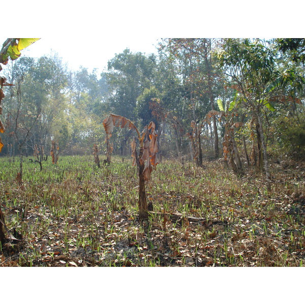 รูปถ่าย ไทย(Thailand) ปางมะผ้า(Pang Mapha) 2007-02 88