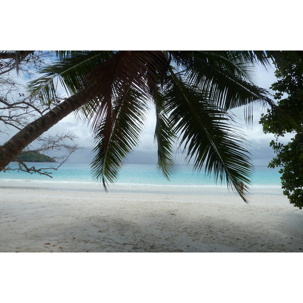 รูปถ่าย เซเชลส์(Seychelles) เกาะปราลิน(Praslin) 2011-10 165