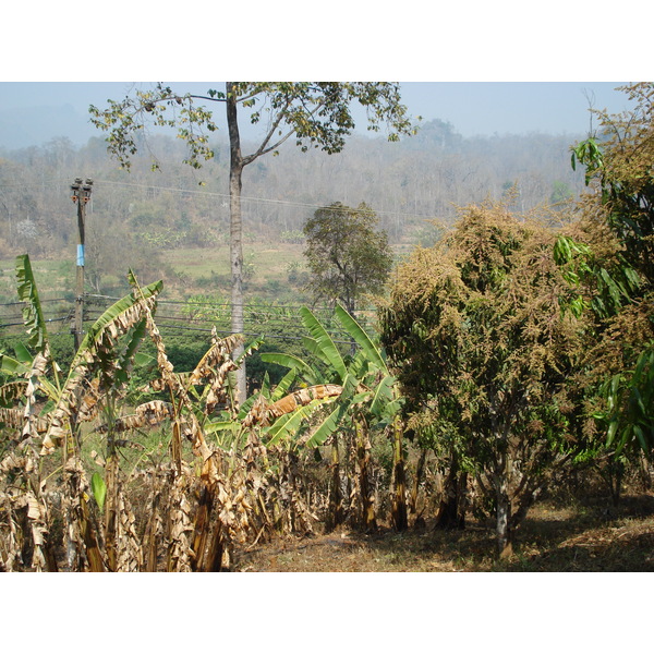 รูปถ่าย ไทย(Thailand) ปางมะผ้า(Pang Mapha) 2007-02 75