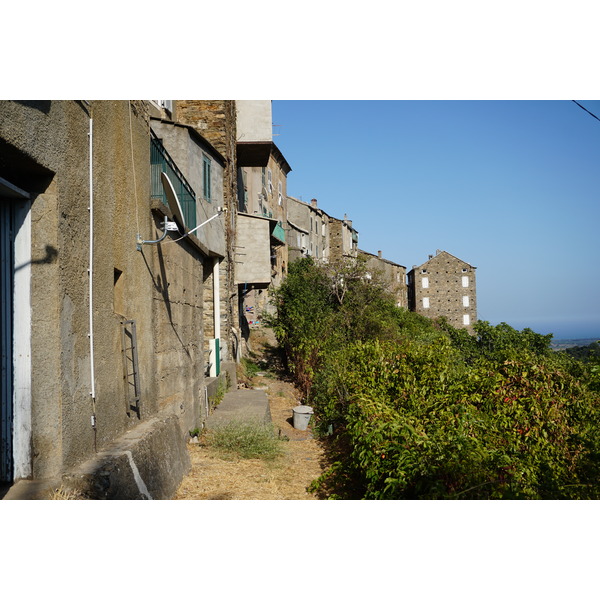 รูปถ่าย ฝรั่งเศส(France) คอร์สิคา(Corsica) เวนโซลัสกา(Venzolasca) 2017-09 28
