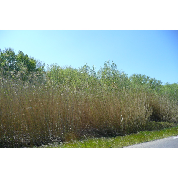 รูปถ่าย ฝรั่งเศส(France) โพรว็องส์(Provence) ถนนจากโบแกร์ไปปงดูการ์(Beaucaire to pont du gard road) 2008-04 1