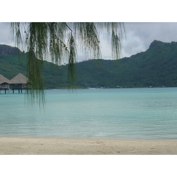 รูปถ่าย เฟรนช์โพลี่นีเซีย(Polynesia) โรงแรมเลอเมอริเดียน โบราโบรา(Meridien Bora Bora Hotel) 2006-04 143