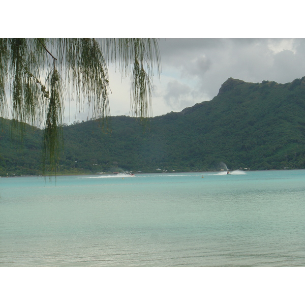 รูปถ่าย เฟรนช์โพลี่นีเซีย(Polynesia) โรงแรมเลอเมอริเดียน โบราโบรา(Meridien Bora Bora Hotel) 2006-04 179