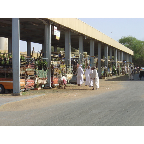 รูปถ่าย สหรัฐอาหรับเอมิเรตส์(United Arab Emirates) อาเลอิน(Al Ain) 2005-03 61