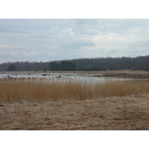 รูปถ่าย เอสโตเนีย(Estonia) ถนนจากทาลลินน์ไปฮาปซาลู(Tallinn to Haapsalu road) 2009-04 25