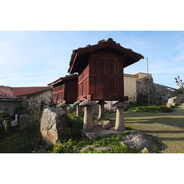 รูปถ่าย สเปน(Spain) เซลาโนวา(Celanova) 2013-01 19