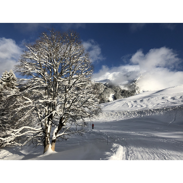 รูปถ่าย ฝรั่งเศส(France) ลากลูซา(La Clusaz) 2017-12 326