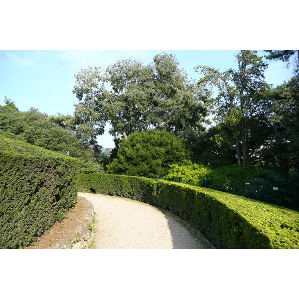 รูปถ่าย ฝรั่งเศส(France) ปารีส(Paris) สวนพันธ์ุพืช(Jardin des Plantes) 2007-08 45