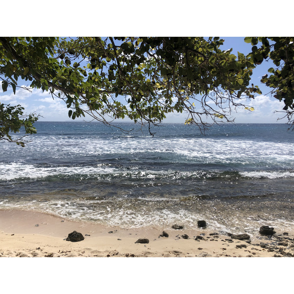 รูปถ่าย กวาเดอลูป(Guadeloupe) แซ็งฟร็องซัว(Saint Francois) 2021-02 54