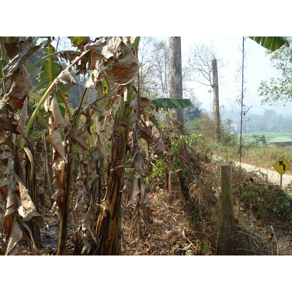 รูปถ่าย ไทย(Thailand) ปางมะผ้า(Pang Mapha) 2007-02 89