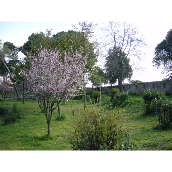 รูปถ่าย อิตาลี(Italy) โรม(Rome) 2003-03 6