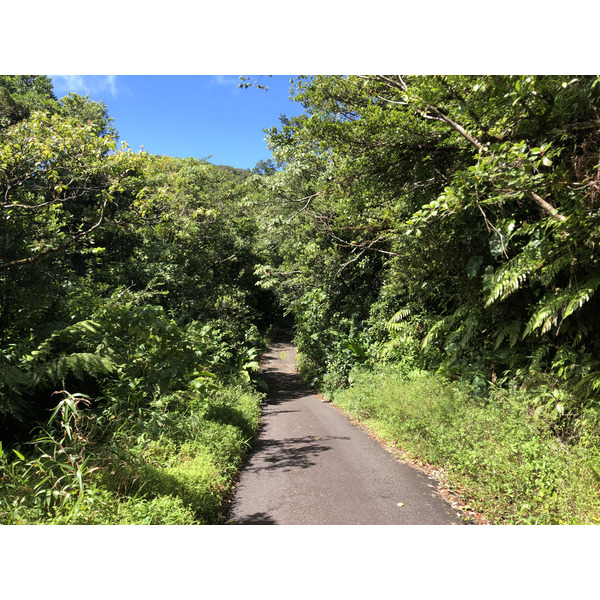 รูปถ่าย กวาเดอลูป(Guadeloupe) ภูเขาไฟลากร็องด์ซูฟรีแยร์(La Grande Soufriere) 2021-02 55