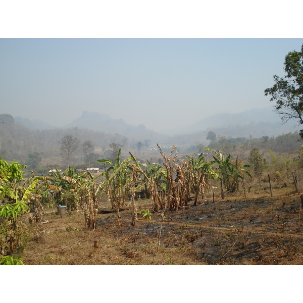รูปถ่าย ไทย(Thailand) ปางมะผ้า(Pang Mapha) 2007-02 112