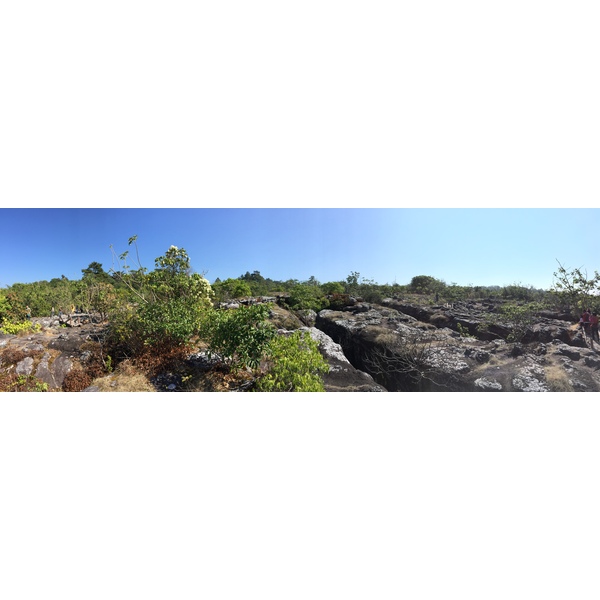 รูปถ่าย ไทย(Thailand) อุทยานแห่งชาติภูหินร่องกล้า(Phu Hin Rong Kla National Park) 2014-12 371