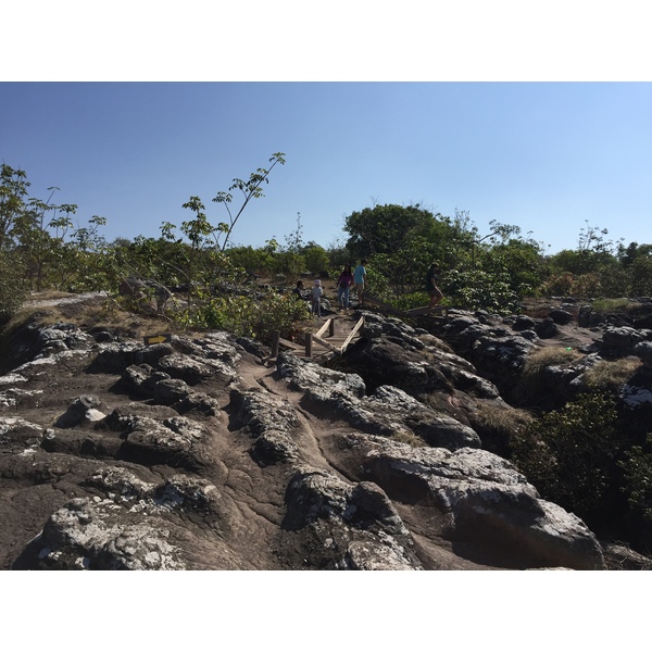รูปถ่าย ไทย(Thailand) อุทยานแห่งชาติภูหินร่องกล้า(Phu Hin Rong Kla National Park) 2014-12 331