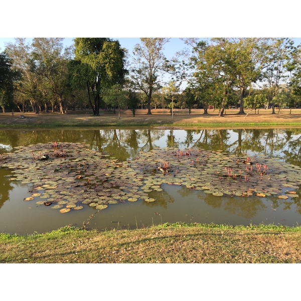 รูปถ่าย ไทย(Thailand) สุโขทัย(Sukhothai) 2014-12 70