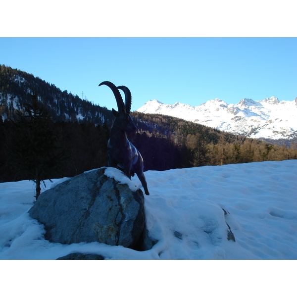 รูปถ่าย สวิสเซอร์แลนด์(Switzerland) ปองเทรซีน่า(Pontresina) 2007-01 3