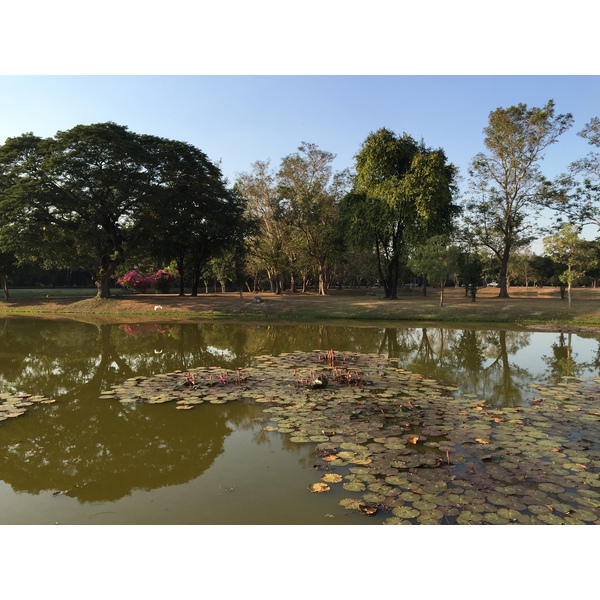 รูปถ่าย ไทย(Thailand) สุโขทัย(Sukhothai) 2014-12 20