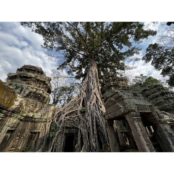 รูปถ่าย กัมพูชา(Cambodia) เสียมราฐ(Siem Reap) ปราสาทตาพรหม(Ta Prohm) 2023-01 59