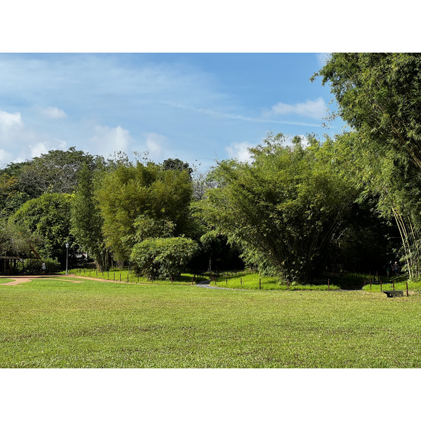 รูปถ่าย สิงคโปร์(Singapore) สวนพฤกษศาสตร์สิงคโปร์(Singapore Botanic Gardens) 2023-01 2