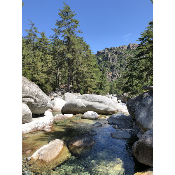 รูปถ่าย ฝรั่งเศส(France) คอร์สิคา(Corsica) หุบเขาลาเรสโตนีกา(La Restonica) 2020-07 44
