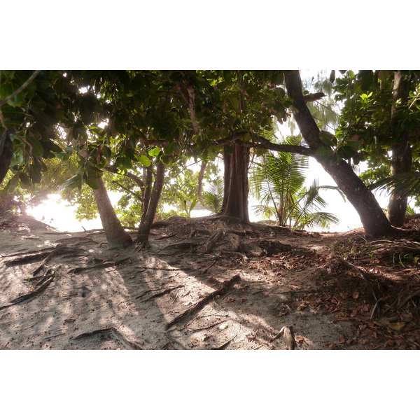 รูปถ่าย เซเชลส์(Seychelles) อ่าวอ็องส์ลาซิโอ(Anse Lazio) 2011-10 70
