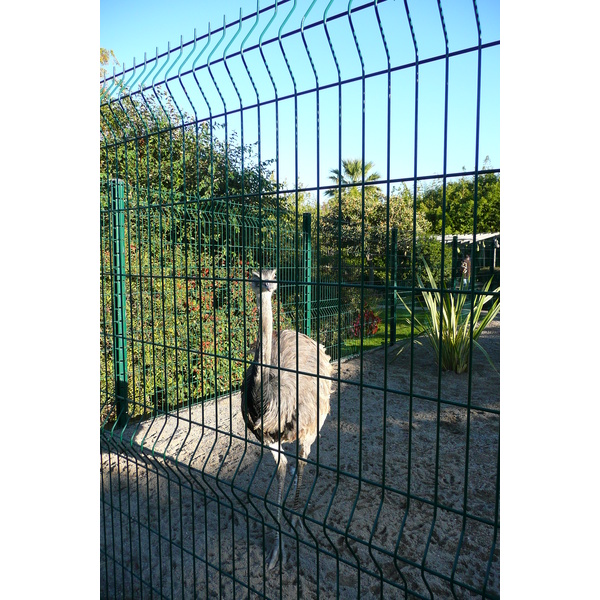 รูปถ่าย ฝรั่งเศส(France) นีส(Nice) สวนฟีนิกซ์(Phoenix Parc) 2007-10 7