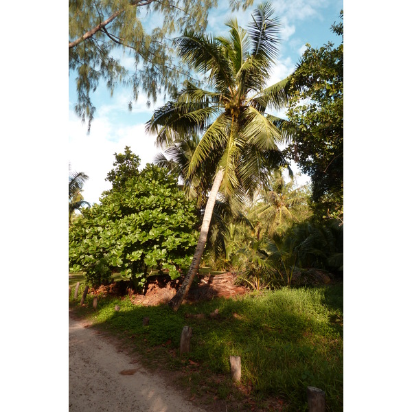 รูปถ่าย เซเชลส์(Seychelles) อ่าวอ็องส์ลาซิโอ(Anse Lazio) 2011-10 57