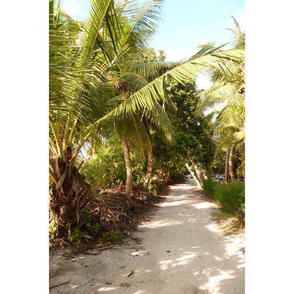 รูปถ่าย เซเชลส์(Seychelles) อ่าวอ็องส์ลาซิโอ(Anse Lazio) 2011-10 36
