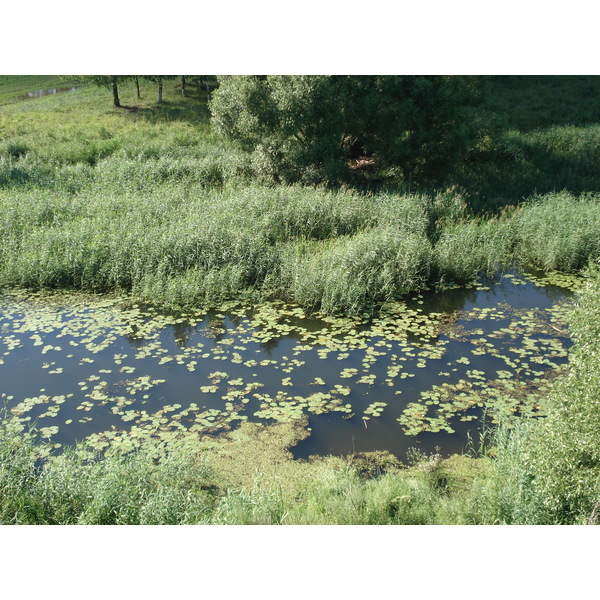 รูปถ่าย รัสเซีย(Russia) ซูสดัล(Suzdal) 2006-07 158