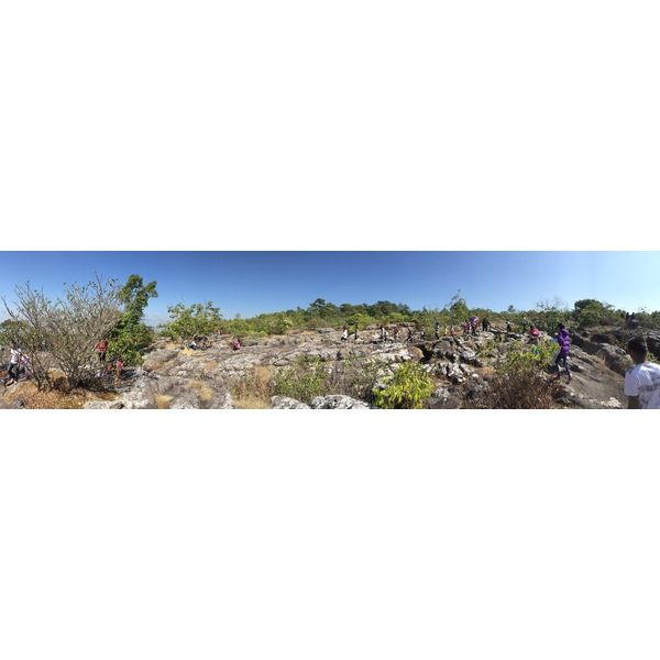 รูปถ่าย ไทย(Thailand) อุทยานแห่งชาติภูหินร่องกล้า(Phu Hin Rong Kla National Park) 2014-12 299